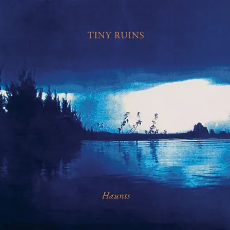 Haunts by Tiny Ruins