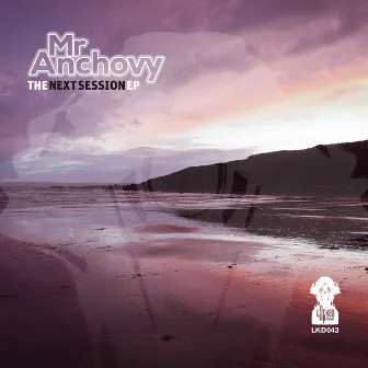 The Next Session EP by Mr Anchovy