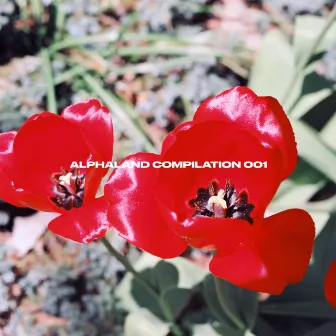 Alphaland Compilation, Vol. 1 by Alphaland