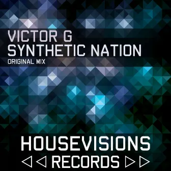 Synthetic Nation by Victor G