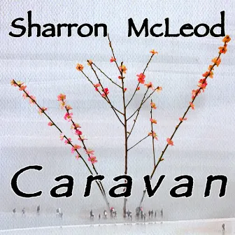 Caravan by Sharron McLeod