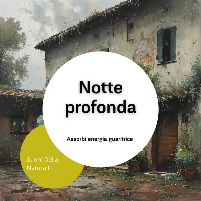 Notte profonda: Assorbi energia guaritrice