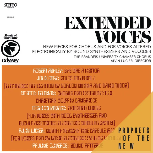 Extended Voices