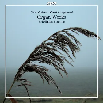 Nielsen: Organ Works by Friedhelm Flamme