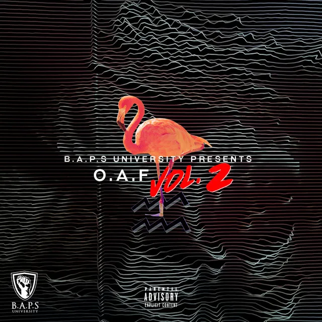 BAPS University Presents O.A.F Vol. 2