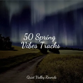 50 Spring Vibes Tracks by Meditation Music Club