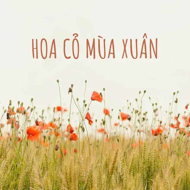 Hoa Cỏ Mùa Xuân - Đại Mèo Remix