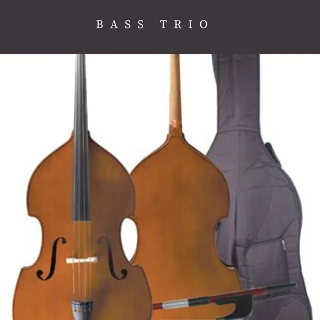 Bass Trio