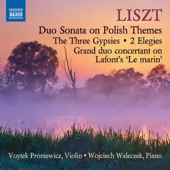 Liszt: Works for Violin & Piano by Voytek Proniewicz