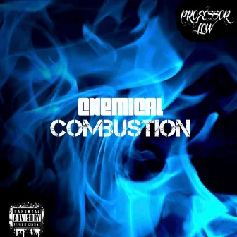 Chemical Combustion by Professor Low