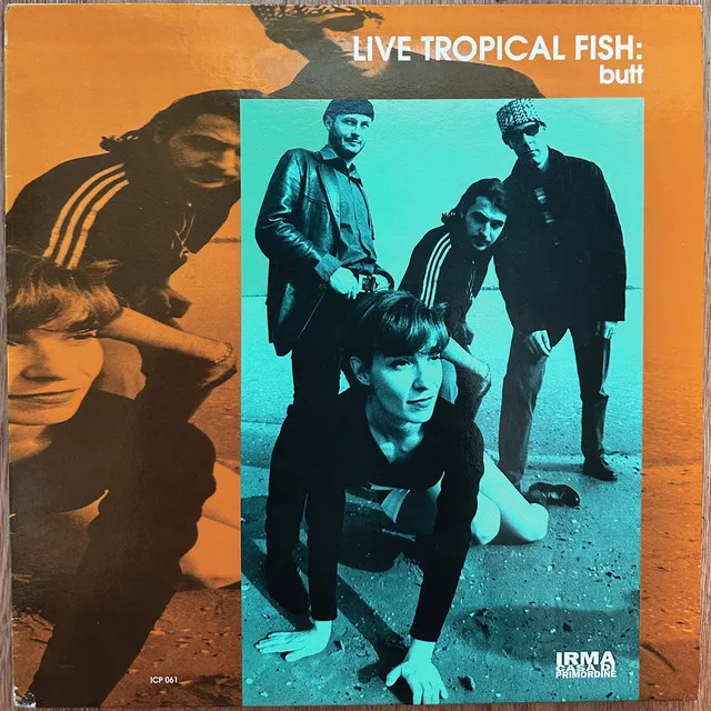 Live Tropical Fish