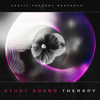 Study Sound Therapy by Unknown Artist