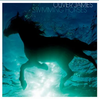 Swimming Horses by Oliver James