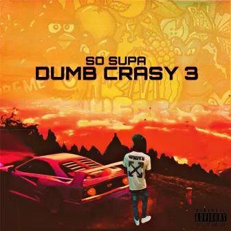 Dumb Crasy 3 by So Supa