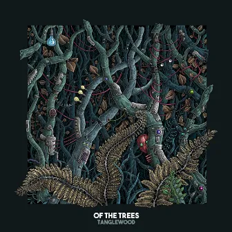 Tanglewood by Of The Trees