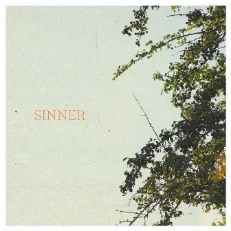 Sinner by Unknown Artist