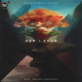 Now I Know by Project Nightfall