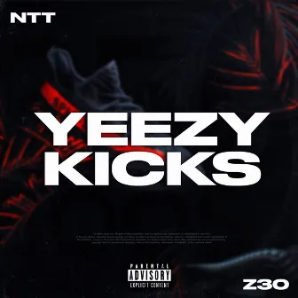 Yeezy Kicks by Z30