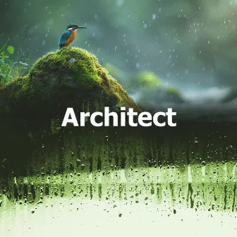 Architect by Architect