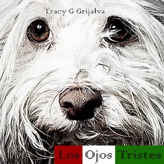 Los Ojos Tristes by Tracy G