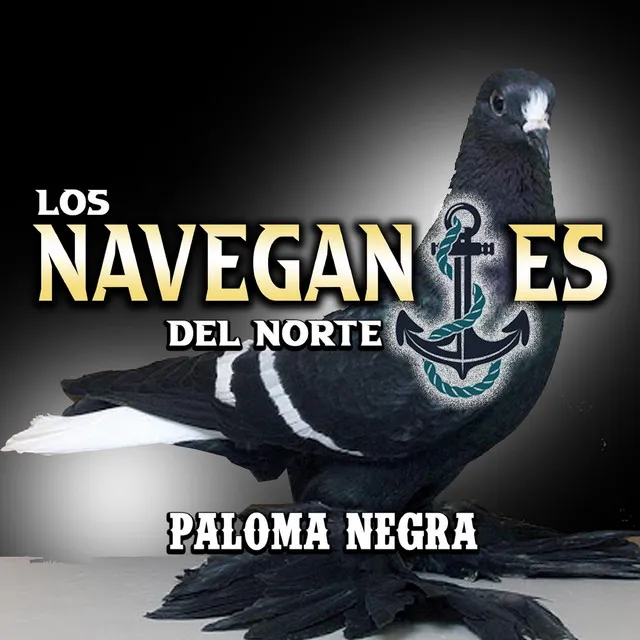 Paloma Negra