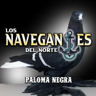 Paloma Negra by Los Navegantes del Norte