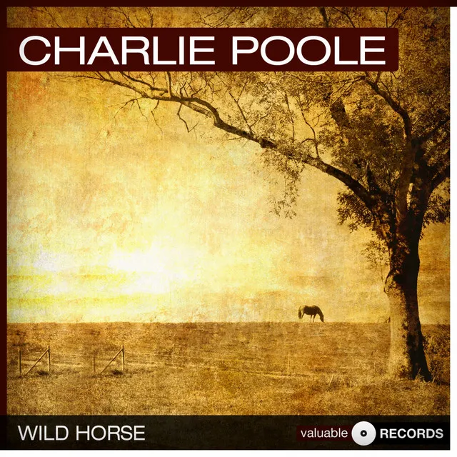 Wild Horse