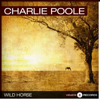 Wild Horse by Charlie Poole