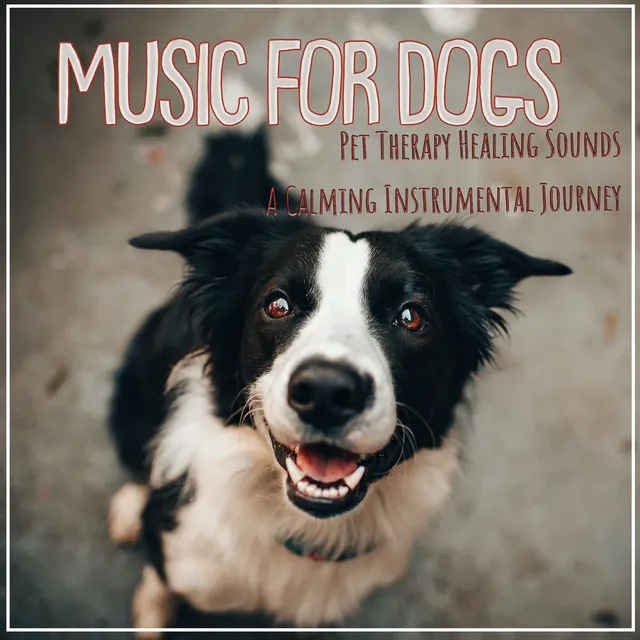 Music For Dogs