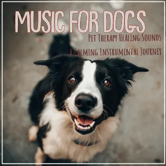 Music For Dogs: Pet Therapy Healing Sounds A Calming Instrumental Journey by Dog Music