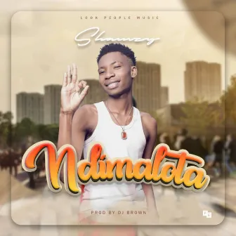 Ndimalota by Shamzy