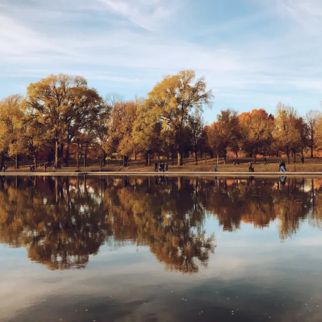 lake dreams