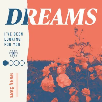 DREAMS by Take Lead