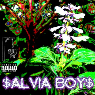 $ALVIA BOY$ by Haunted Trap