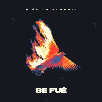 Se Fué by Niño de Bohemia