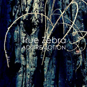 Adoremotion by True Zebra