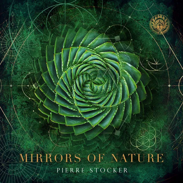 Mirrors of Nature