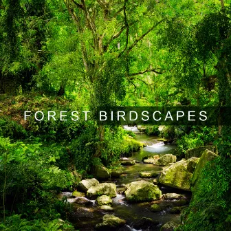 Forest Birdscapes by Mothers Nature Music Academy