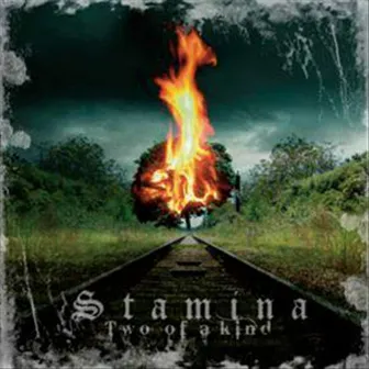 Two of a Kind by Stamina