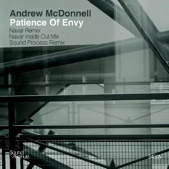 Patience of Envy by Andrew McDonnell