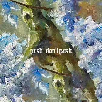 push, don't push (acoustic) by iris