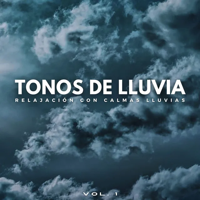 Tonos De Lluvia: Relajación Con Calmas Lluvias Vol. 1