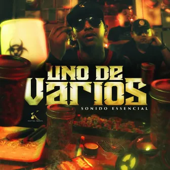 Uno De Varios by Sonido Essencial