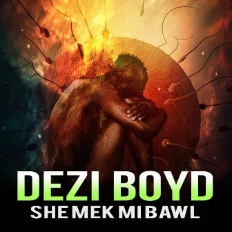 She Mek MI Bawl by Dezi Boyd