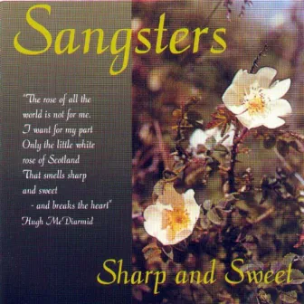 Sharp and Sweet by Sangsters