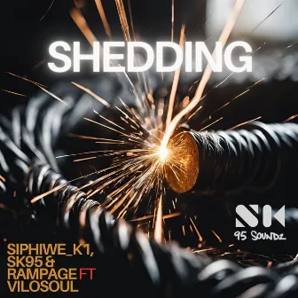 Shedding by RAMPAGE