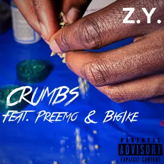 Crumbs by Z.Y. Preemo