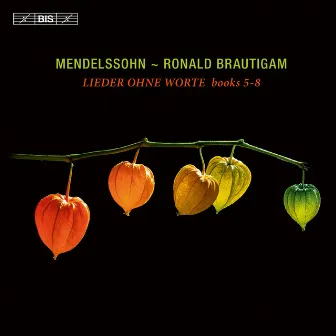 Mendelssohn: Lieder ohne Worte, Books 5-8 by Ronald Brautigam