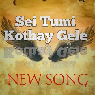 Sei Tumi Kothay Gele (Live) by Unknown Artist