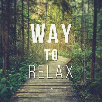 Way to Relax - Enjoy the Silence, Listen to Nature, More Power, Good Approach, Nice Change by Improving Concentration Music Zone